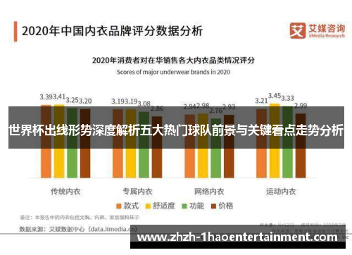 世界杯出线形势深度解析五大热门球队前景与关键看点走势分析