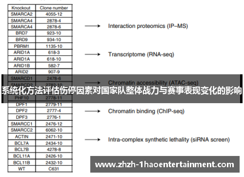 系统化方法评估伤停因素对国家队整体战力与赛事表现变化的影响